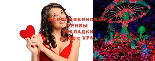 мдпв Арсеньев